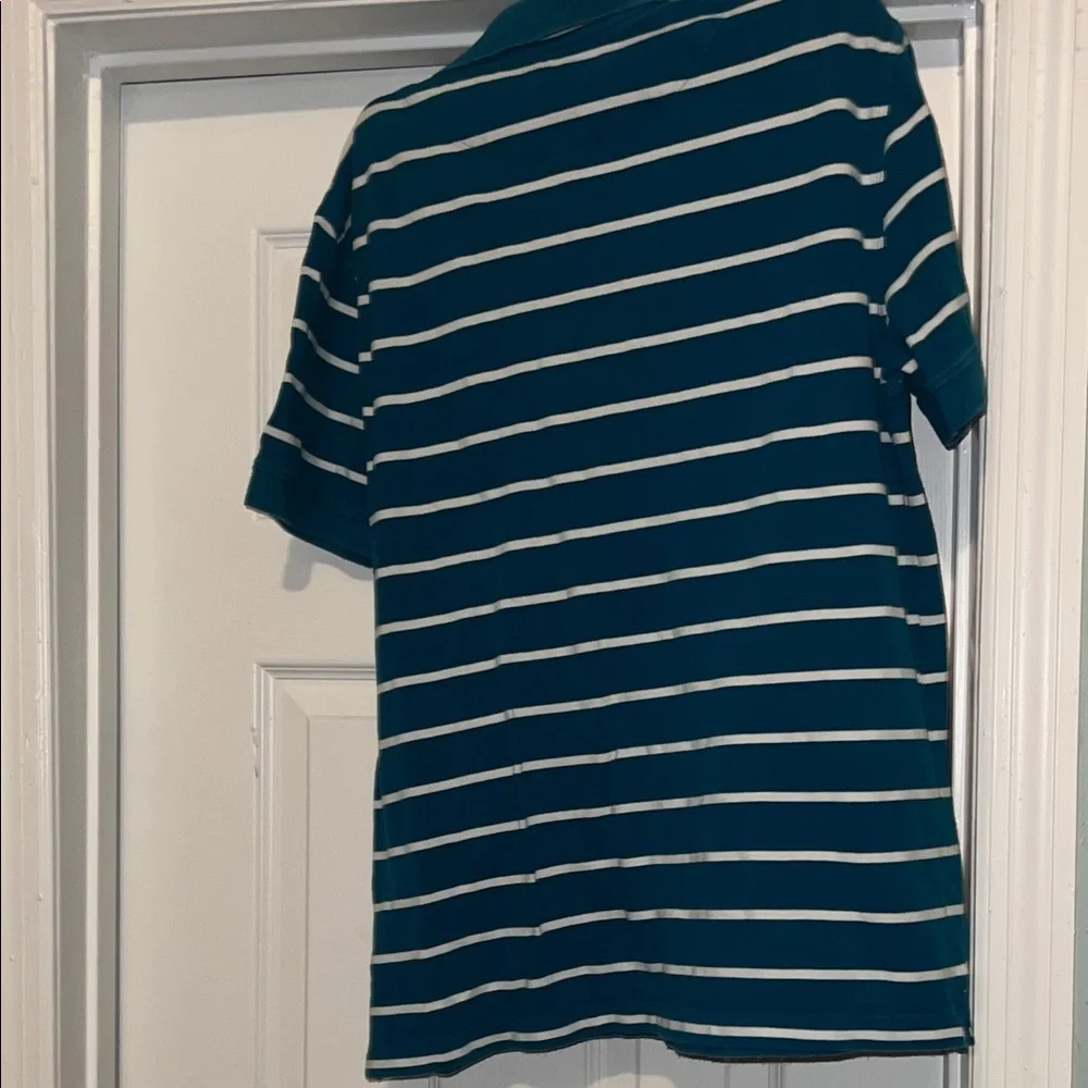 Banana Republic Teal and White Striped Polo